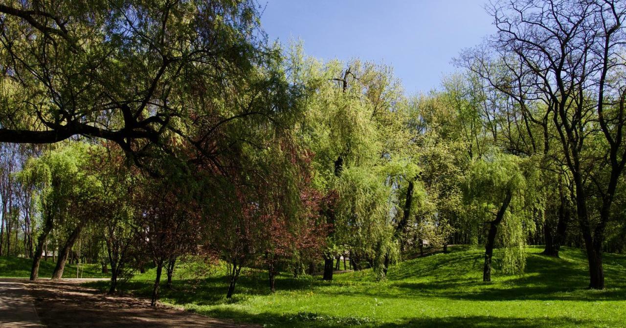 Apartament Park Lotników Krakow Bagian luar foto